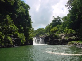 Nature at Eastern Mauritius