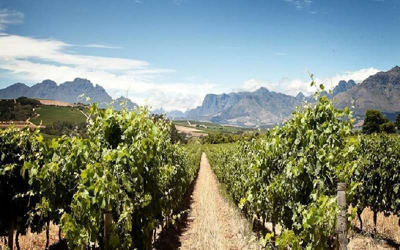 Wedgeview Country House & Spa, Stellenbosch