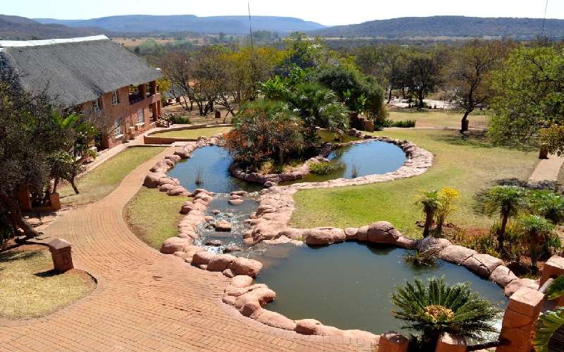 Zebra Country Lodge near Pretoria, South Africa